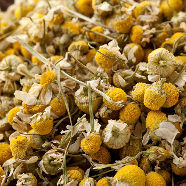 5 Surprising Benefits of Chamomile for Healthy Skin